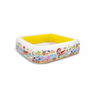 Pool Accessories & Inflatables