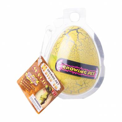 Educational Toys