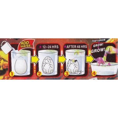 Educational Toys